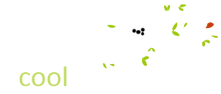 Homestay Chikmagalur